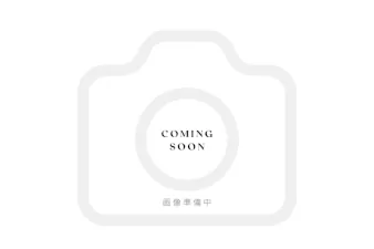 保護猫　にゃんこちゃん イメージ画像準備中